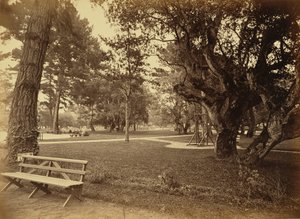 [Monterey, California. Hotel Del Monte, Lawn View]. by Carleton Watkins