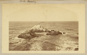 Seal Rocks. by Carleton Watkins