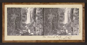 İlkbahar Sonbaharı. 300 ft. Yo Semite by Carleton Watkins