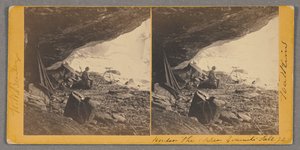 Yukarı Yosemite Düşüşü Altında by Carleton Watkins