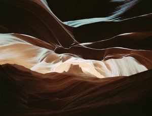  by Carli Choi