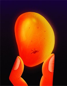  by Carlo Alberto Giardina