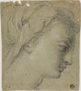  by Carlo Cignani