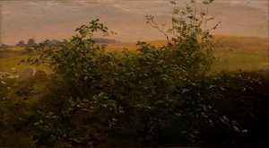  by Carlo Dalgas