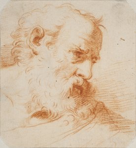 Sağa bakan sakallı bir adamın başı by Carlo Maratti