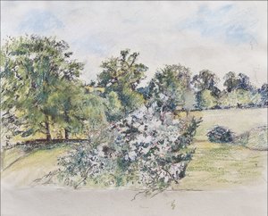 Penceremizden Ağustos, 2007 (kağıt üzerine pastel & wc) by Caroline Hervey Bathurst