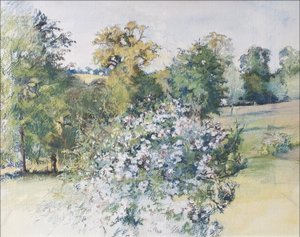Penceremizden Haziran, 2007 (kağıt üzerine pastel & wc) by Caroline Hervey Bathurst