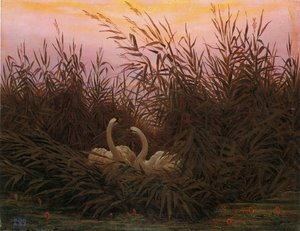 Almanca: Schwäne im Schilf beim ersten Morgenrot İlk şafakta sazlıktaki kuğular by Caspar David Friedrich