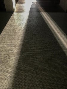 Kompozisyon - Işık, 2021 (fotoğraf) by Cécile Jamet