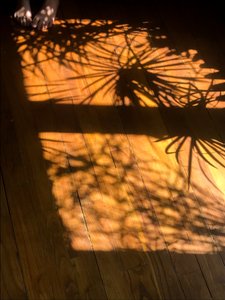 Kompozisyon - Gölgeler, 2019 (fotoğraf) by Cécile Jamet