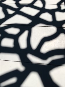  by Cécile Jamet
