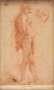 Üç Çeyrek Profilde Başın Çalışması ile Çıplak Bir Erkek Çıplak Çalışması, c. 1640. by Cecco Bravo