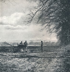 Uzaktan tarla ve karık, 1941