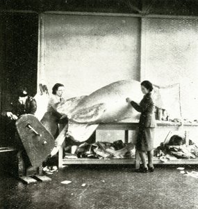 Baraj Balonlarının Tamiri, c1943. by Cecil Beaton