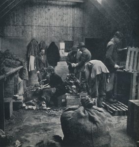 Pazar için sebzeler, 1941