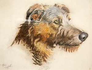 İskoç Geyik Tazısı (renkli kağıt üzerine pastel) by Cecil Charles Windsor Aldin