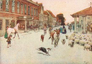 Güneş batarken. . . Market Place