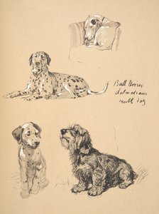 Bull Terrier, Dalmaçyalılar ve Mutt Dog, 1930, Sadece Arkadaşlar Arasında için kullanılan Eskiz Kitabından Çizimler, Aldin, Cecil Charles Windsor (1870-1935), daha sonra Eyre ve Spottiswoode Limited tarafından yayınlandı, by Cecil Charles Windsor Aldin