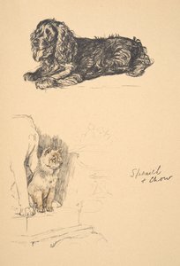 Spaniel ve Chow, 1930, Sadece Arkadaşlar Arasında, Aldin, Cecil Charles Windsor (1870-1935) için kullanılan Eskiz Kitabından Çizimler, daha sonra Eyre ve Spottiswoode Limited tarafından yayınlandı, 1934, Chalk ve Char by Cecil Charles Windsor Aldin