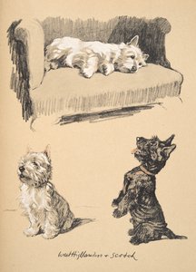 West Highlanders ve Scotch, 1930, Just Between Friends için kullanılan Sketch Book