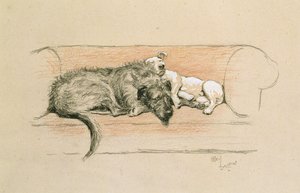 Wolfhound ve Bull Teriyer Kanepede Uyuyor (kağıt üzerinde pastel) by Cecil Charles Windsor Aldin