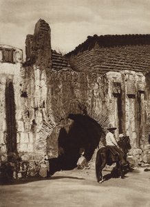 Meksika: Oaxaca, Tuberia espanola (s/b fotoğraf)