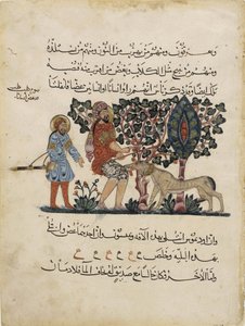 Yunan doktor Erasistratos, Materia Medica