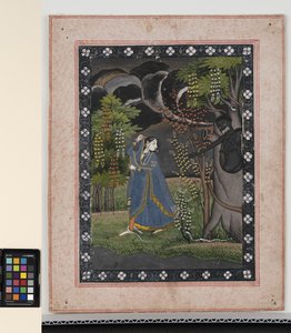 Abhisika Nayaka, C1 (OPQ Pigmentleri ve Kağıt Üzerinde Altın) by Central Indian School