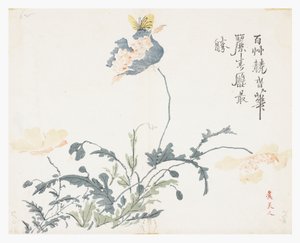 Hardal Tohumu Bahçesi by Chao Siue yen (after)