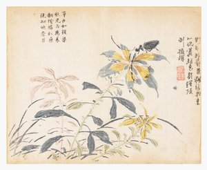 Hardal Tohumu Bahçesi by Chao Yi (after)