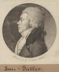 Lewis Salonları by Charles B. J. Févret de Saint Mémin