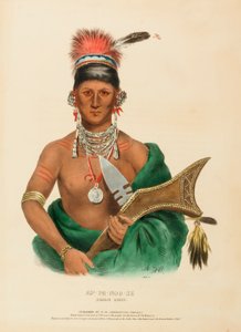  by Charles Bird King