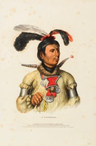  by Charles Bird King