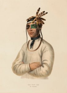  by Charles Bird King