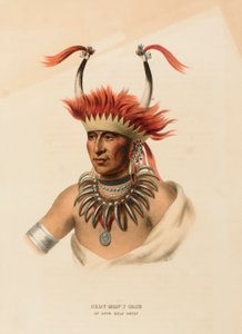  by Charles Bird King