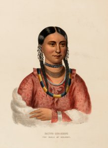  by Charles Bird King
