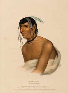  by Charles Bird King