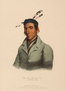  by Charles Bird King
