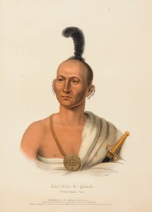  by Charles Bird King