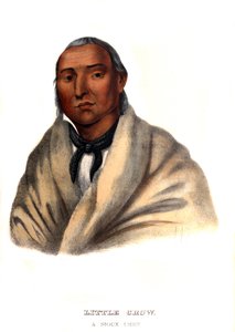 Küçük Karga, bir Siyu Şefi