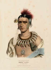  by Charles Bird King