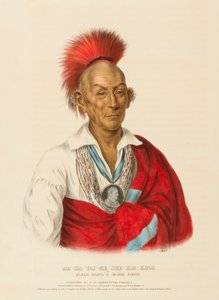  by Charles Bird King