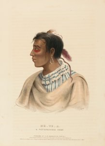  by Charles Bird King