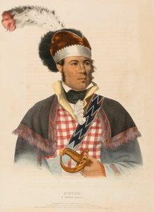  by Charles Bird King