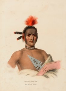  by Charles Bird King