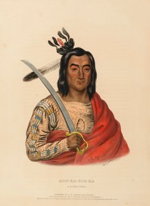 by Charles Bird King