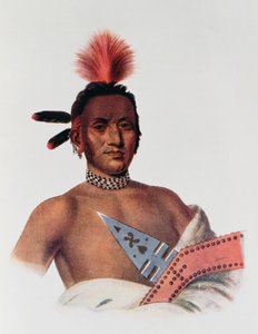 Moa-Na-Hon-Ga veya 