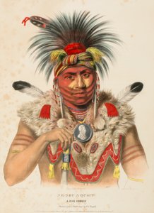 by Charles Bird King