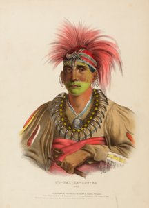  by Charles Bird King