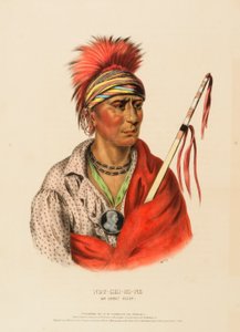  by Charles Bird King